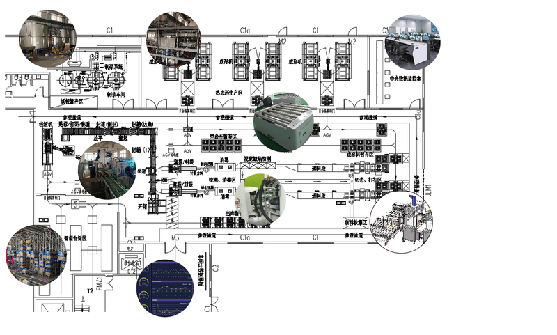 Degradable Pulp Cup Lip Production Line